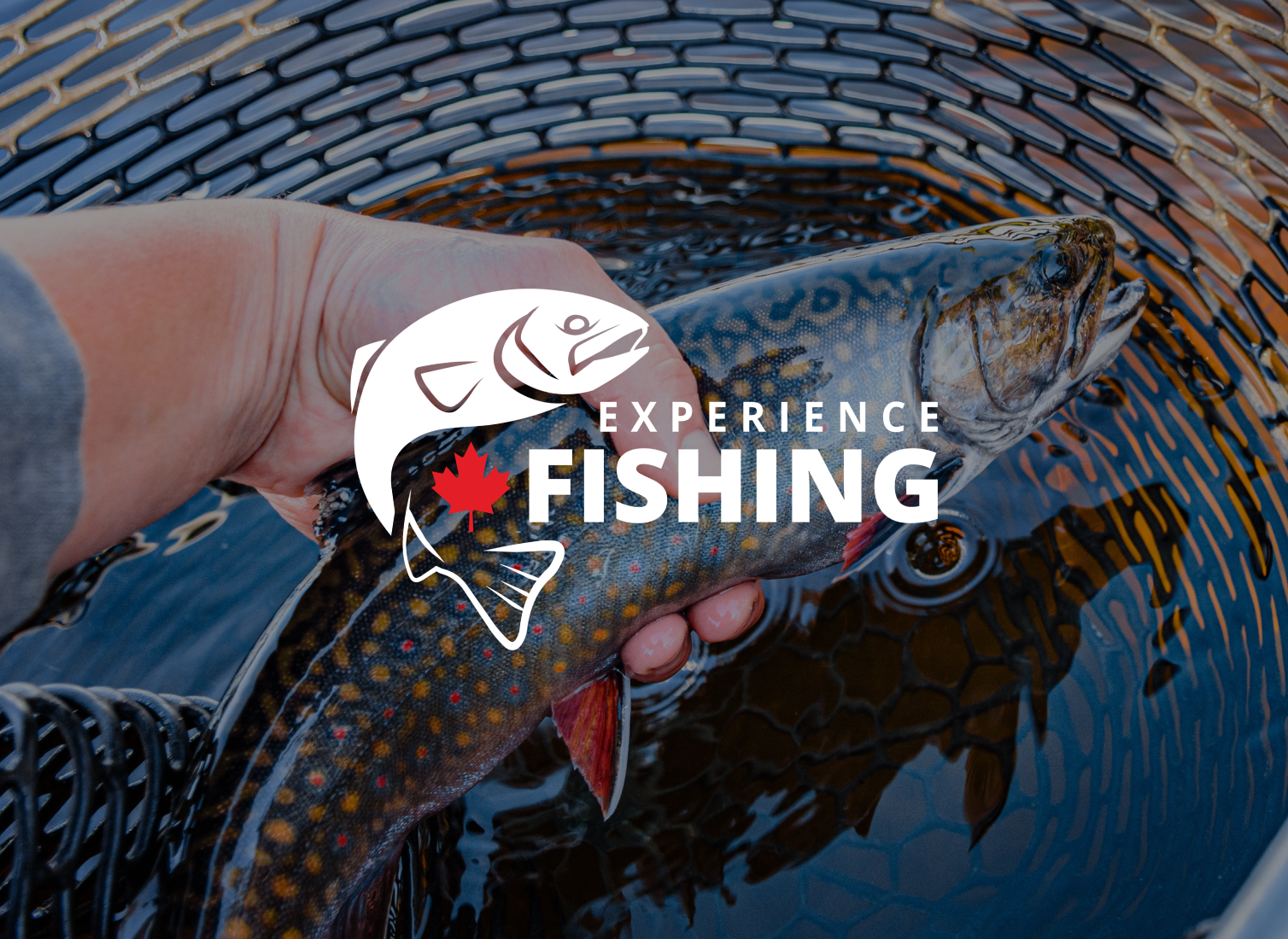 Experience Fishing