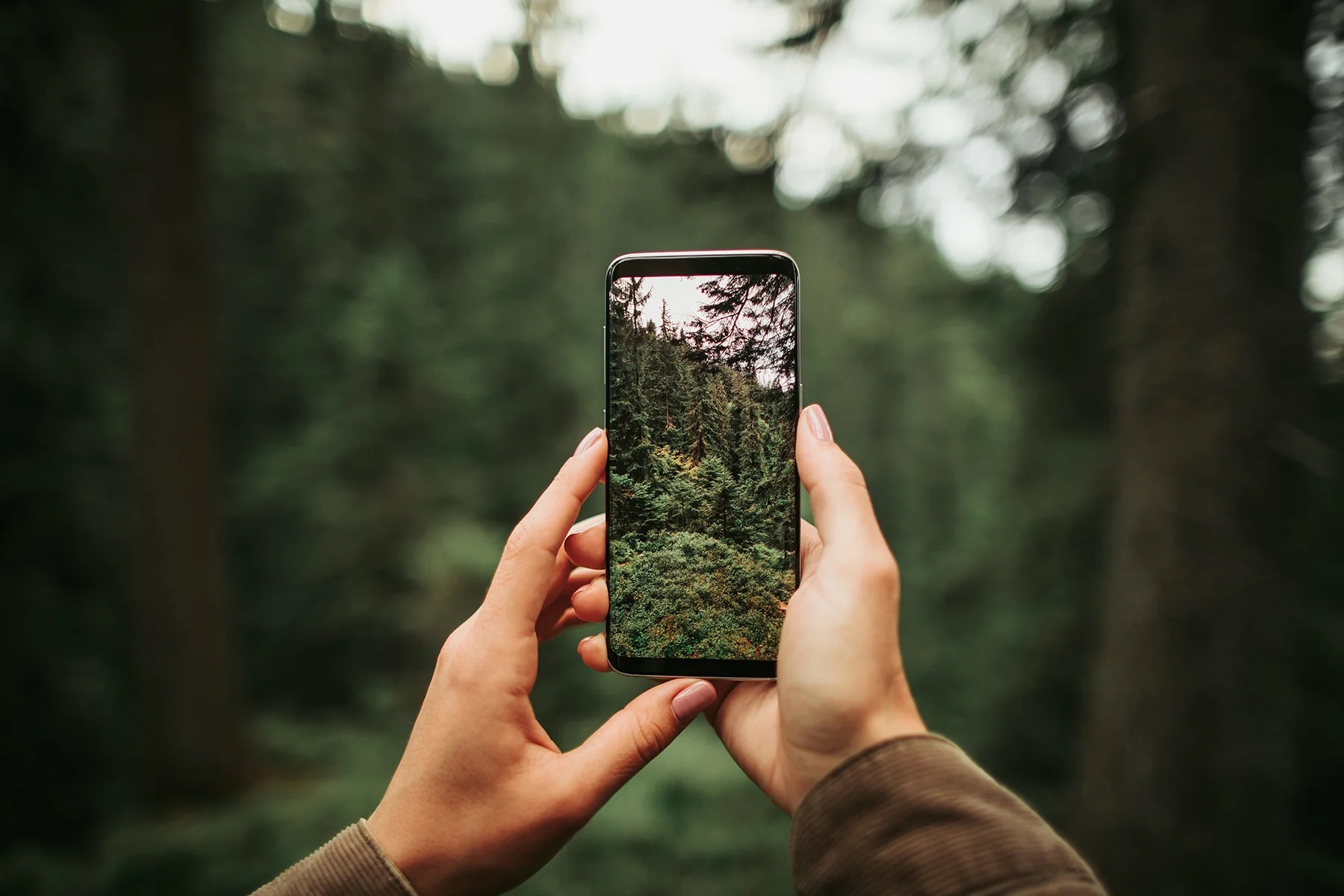 Improve Your Digital Health to Reach More Tourists