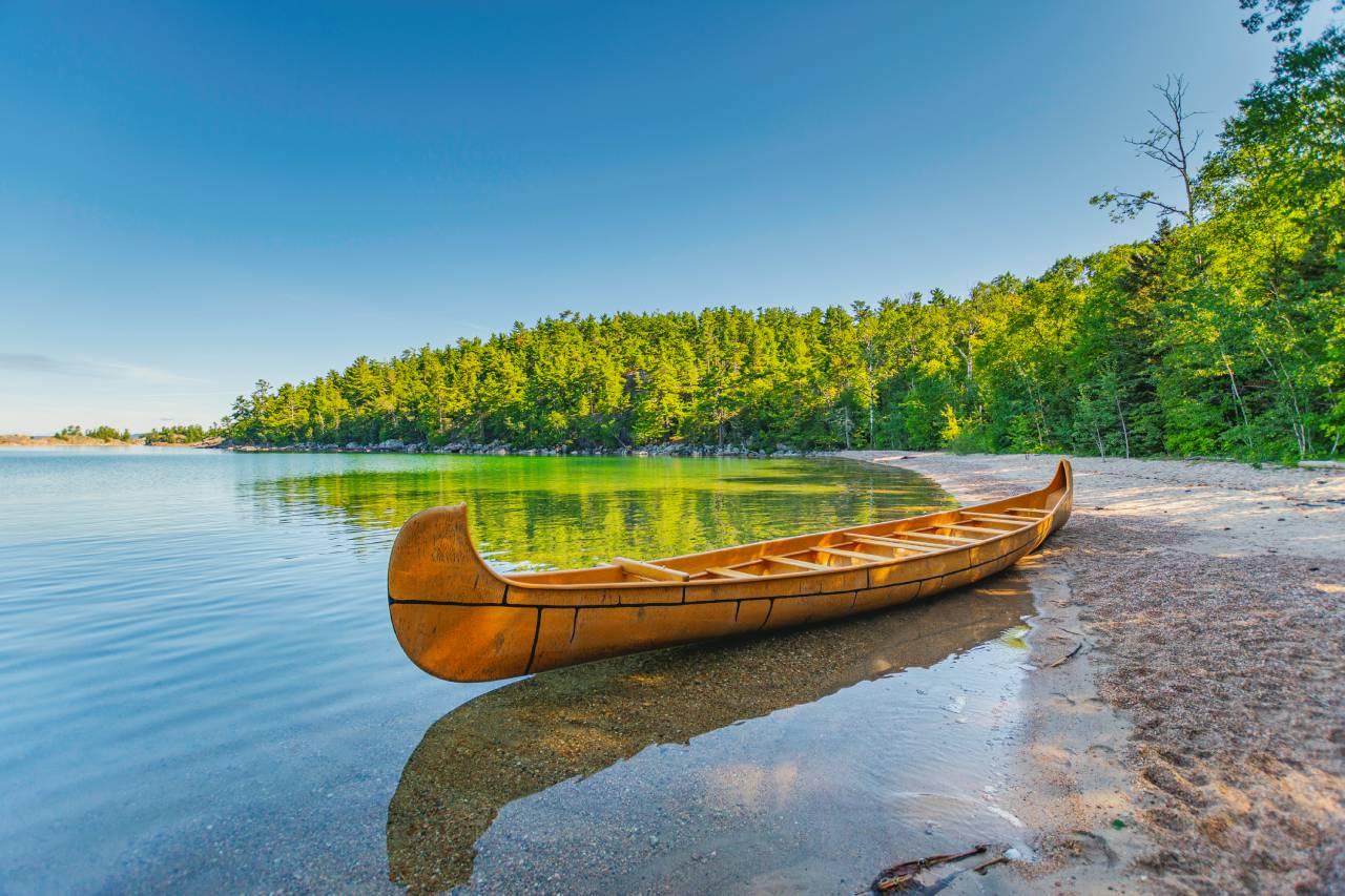 Canoe sitting on the edge of a lush lake