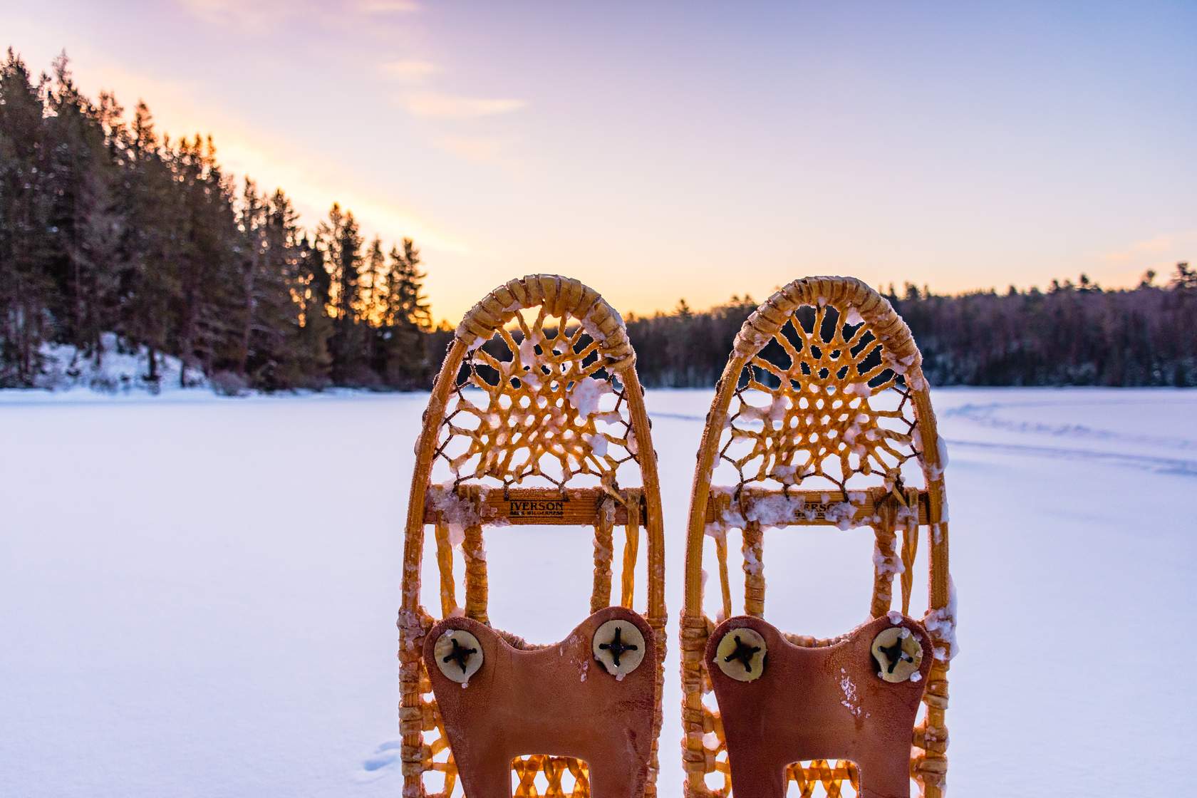 Snowshoes
