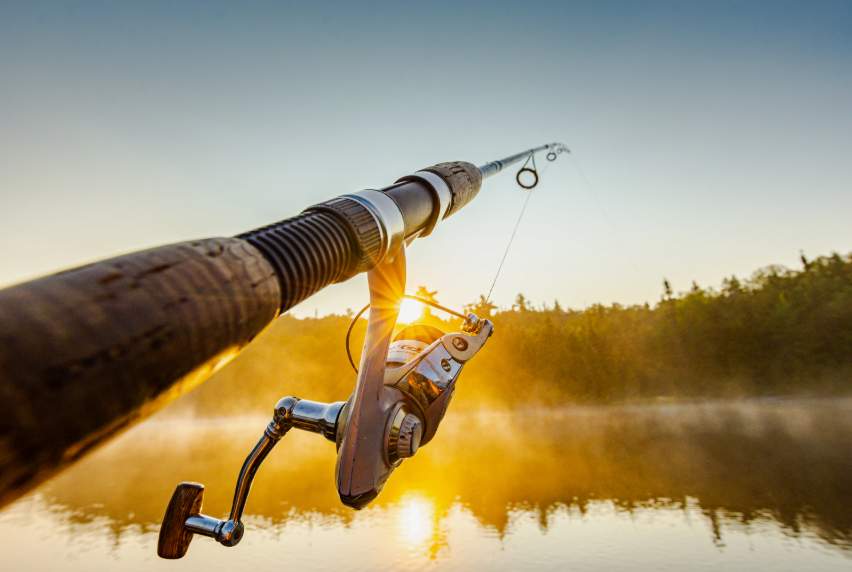 Fishing rod