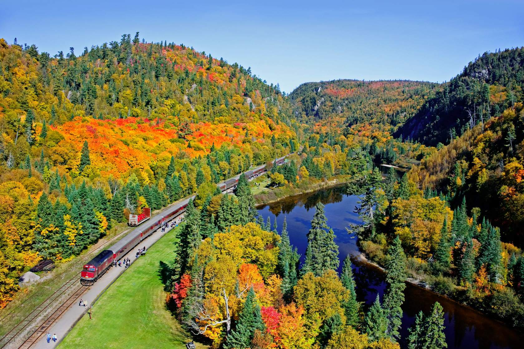 Train